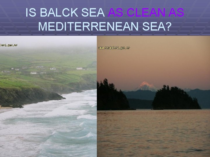 IS BALCK SEA AS CLEAN AS MEDITERRENEAN SEA? 