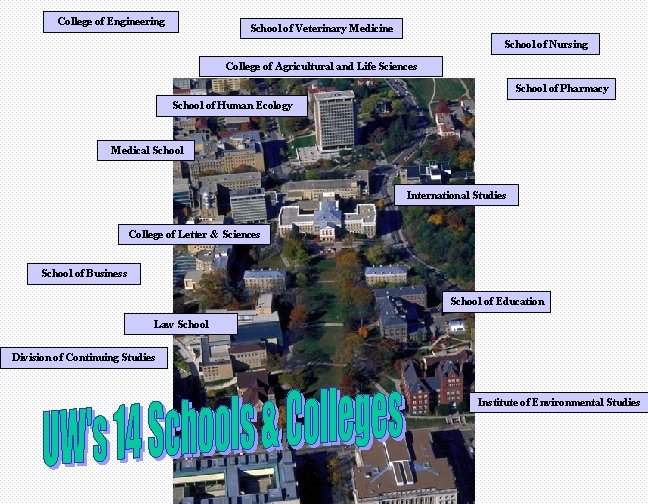 College of Engineering School of Veterinary Medicine School of Nursing College of Agricultural and