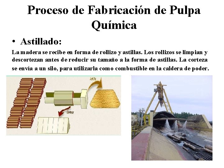 Proceso de Fabricación de Pulpa Química • Astillado: La madera se recibe en forma