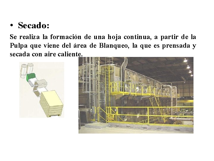  • Secado: Se realiza la formación de una hoja continua, a partir de