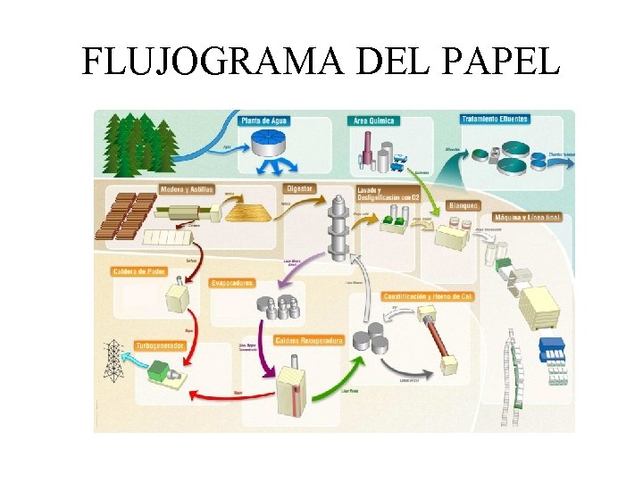 FLUJOGRAMA DEL PAPEL 