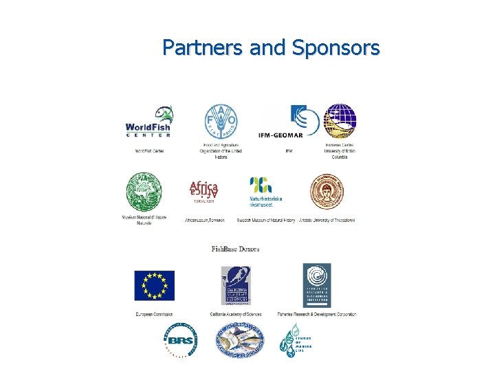 Partners and Sponsors 