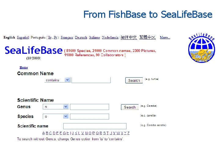 From Fish. Base to Sea. Life. Base 