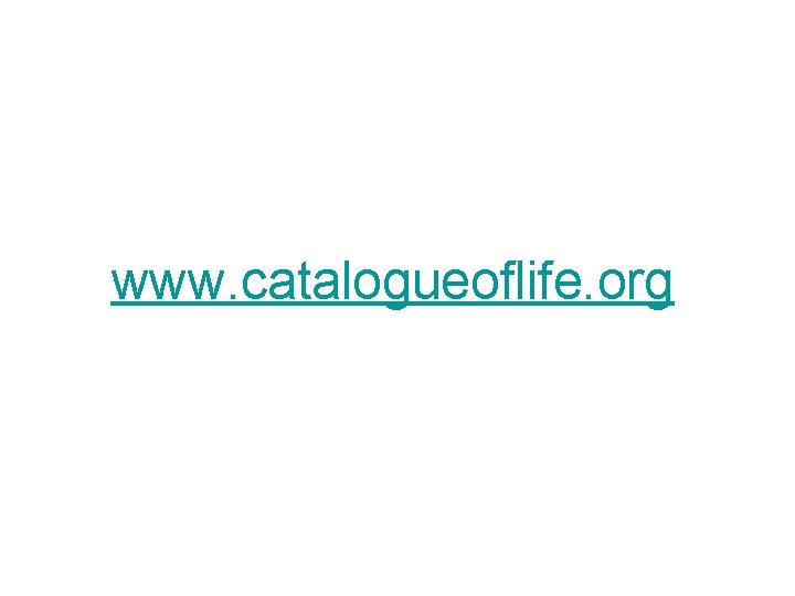 www. catalogueoflife. org 