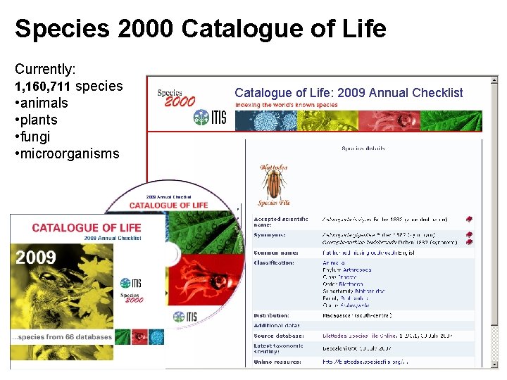 Species 2000 Catalogue of Life Currently: 1, 160, 711 species • animals • plants