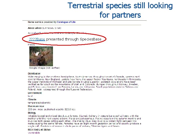 Terrestrial species still looking for partners ? ? Base presented through Species. Base 