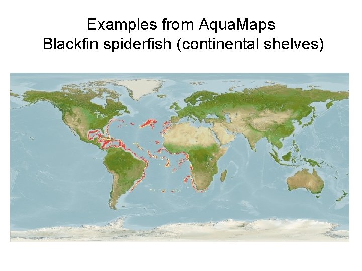 Examples from Aqua. Maps Blackfin spiderfish (continental shelves) 