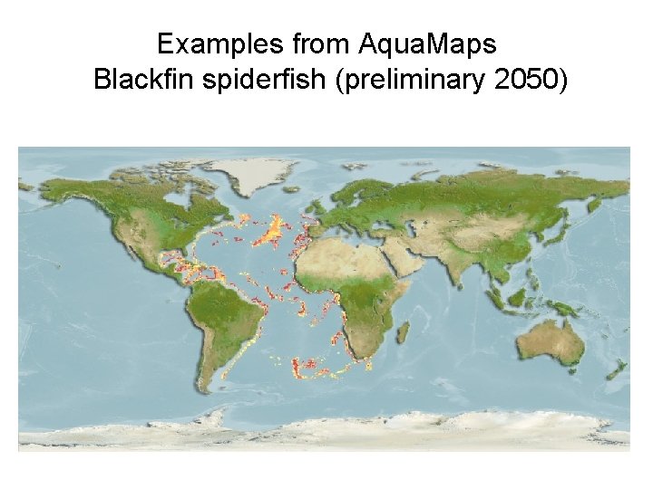 Examples from Aqua. Maps Blackfin spiderfish (preliminary 2050) 