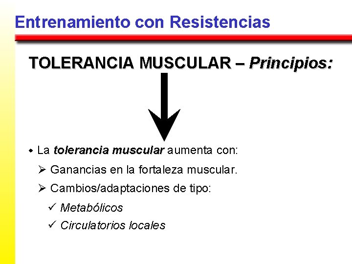 Entrenamiento con Resistencias TOLERANCIA MUSCULAR – Principios: w La tolerancia muscular aumenta con: Ø