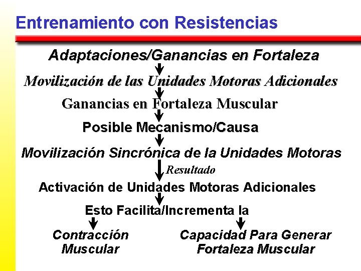 Entrenamiento con Resistencias Adaptaciones/Ganancias en Fortaleza Movilización de las Unidades Motoras Adicionales Ganancias en