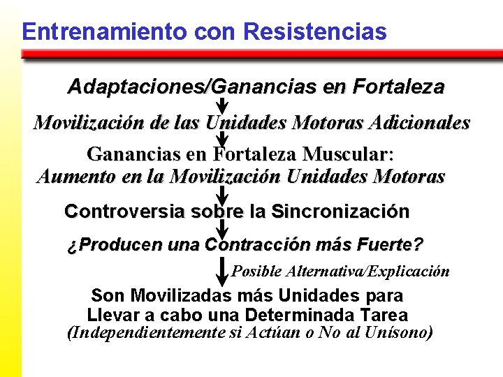 Entrenamiento con Resistencias Adaptaciones/Ganancias en Fortaleza Movilización de las Unidades Motoras Adicionales Ganancias en