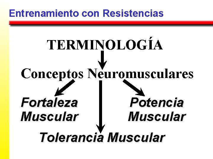 Entrenamiento con Resistencias TERMINOLOGÍA Conceptos Neuromusculares Fortaleza Muscular Potencia Muscular Tolerancia Muscular 