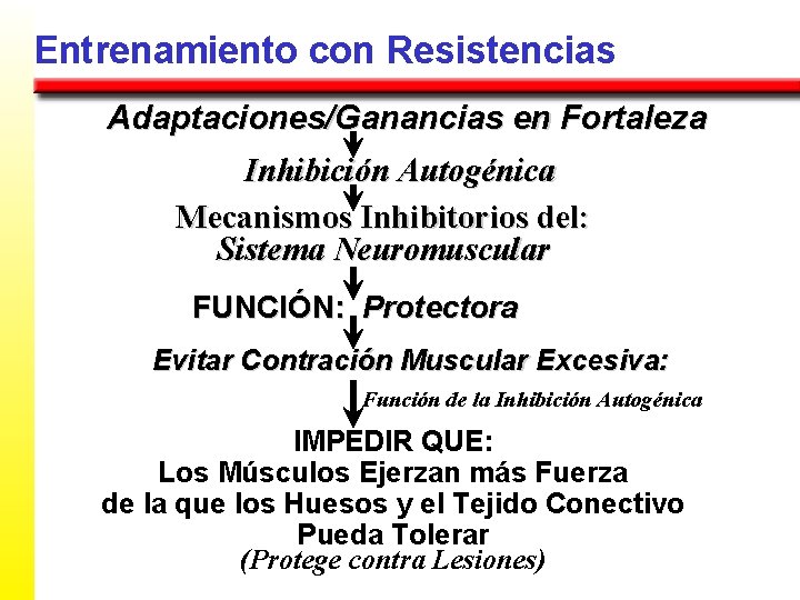 Entrenamiento con Resistencias Adaptaciones/Ganancias en Fortaleza Inhibición Autogénica Mecanismos Inhibitorios del: Sistema Neuromuscular FUNCIÓN: