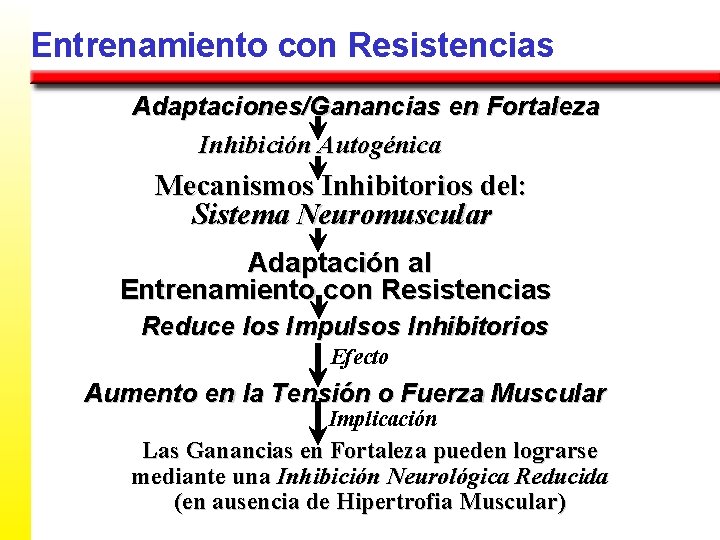 Entrenamiento con Resistencias Adaptaciones/Ganancias en Fortaleza Inhibición Autogénica Mecanismos Inhibitorios del: Sistema Neuromuscular Adaptación
