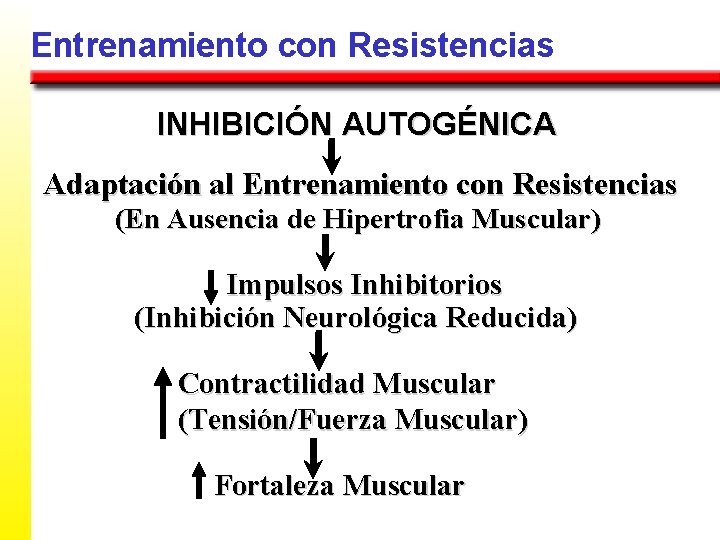 Entrenamiento con Resistencias INHIBICIÓN AUTOGÉNICA Adaptación al Entrenamiento con Resistencias (En Ausencia de Hipertrofia