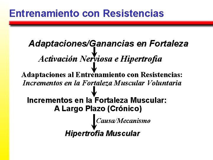 Entrenamiento con Resistencias Adaptaciones/Ganancias en Fortaleza Activación Nerviosa e Hipertrofia Adaptaciones al Entrenamiento con