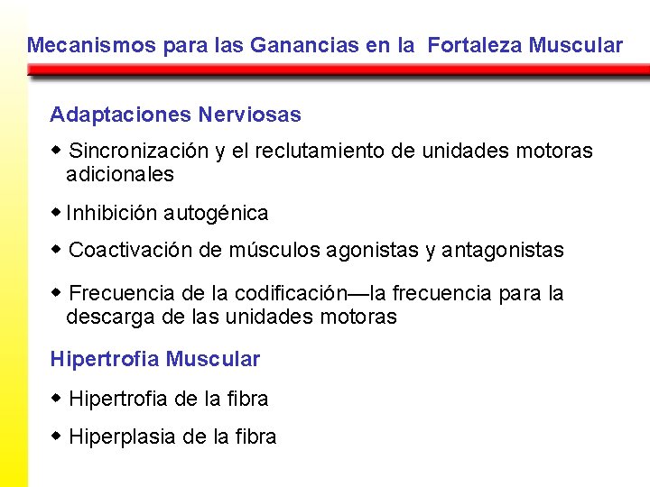 Mecanismos para las Ganancias en la Fortaleza Muscular Adaptaciones Nerviosas w Sincronización y el