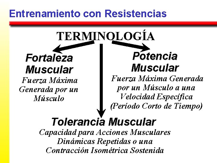 Entrenamiento con Resistencias TERMINOLOGÍA Fortaleza Muscular Fuerza Máxima Generada por un Músculo Potencia Muscular
