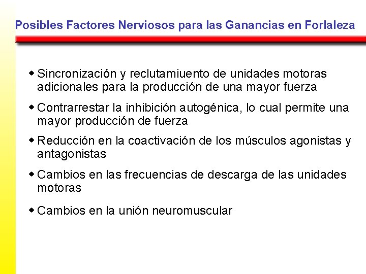 Posibles Factores Nerviosos para las Ganancias en Forlaleza w Sincronización y reclutamiuento de unidades