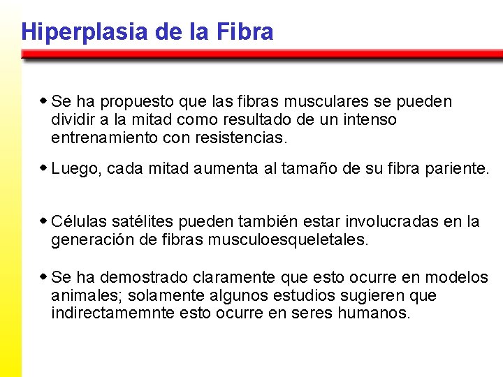 Hiperplasia de la Fibra w Se ha propuesto que las fibras musculares se pueden