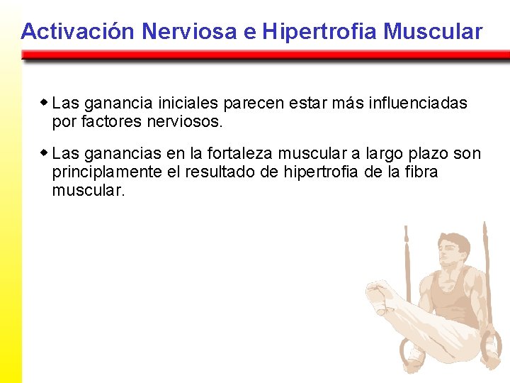 Activación Nerviosa e Hipertrofia Muscular w Las ganancia iniciales parecen estar más influenciadas por