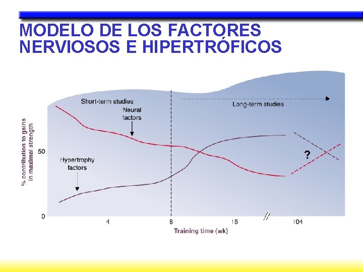 MODELO DE LOS FACTORES NERVIOSOS E HIPERTRÓFICOS 