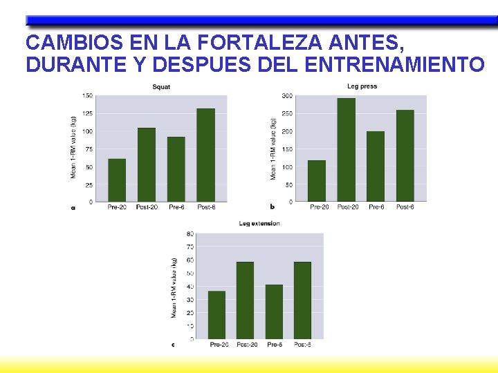 CAMBIOS EN LA FORTALEZA ANTES, DURANTE Y DESPUES DEL ENTRENAMIENTO 