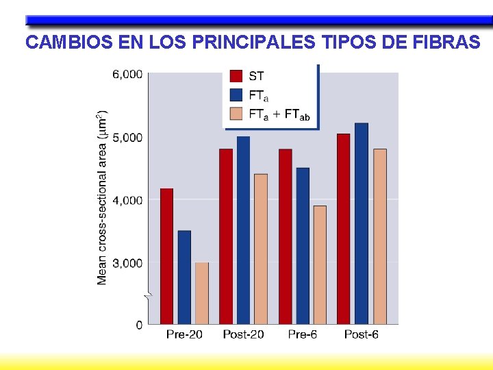 CAMBIOS EN LOS PRINCIPALES TIPOS DE FIBRAS 