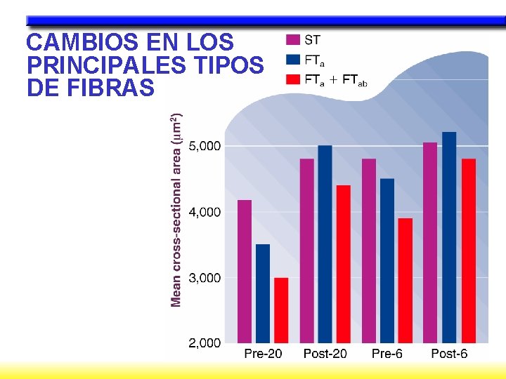 CAMBIOS EN LOS PRINCIPALES TIPOS DE FIBRAS 
