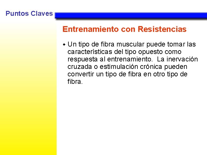 Puntos Claves Entrenamiento con Resistencias w Un tipo de fibra muscular puede tomar las