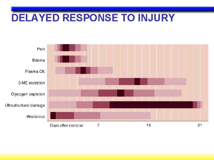 DELAYED RESPONSE TO INJURY 