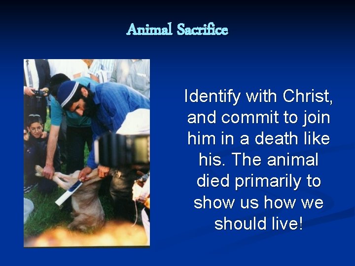 Animal Sacrifice Identify with Christ, and commit to join him in a death like