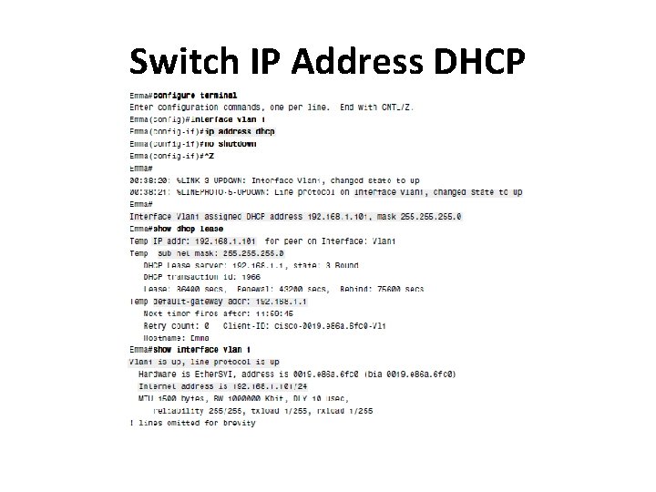 Switch IP Address DHCP 