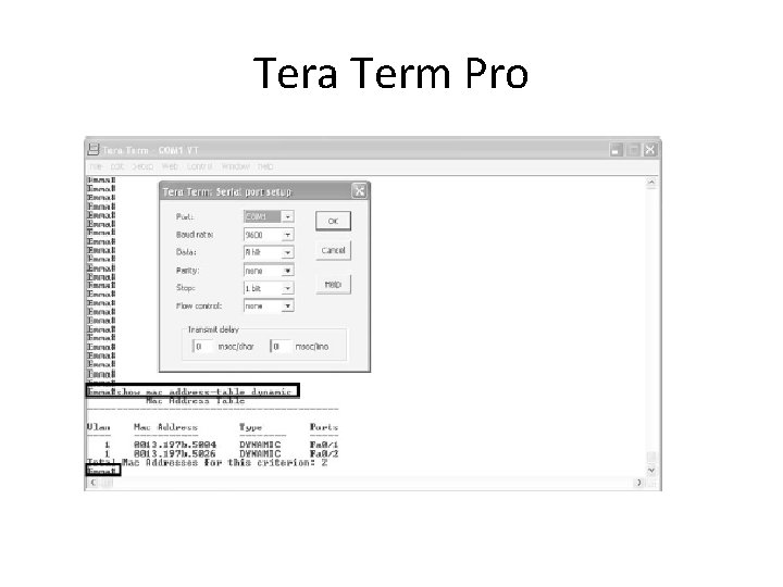 Tera Term Pro 