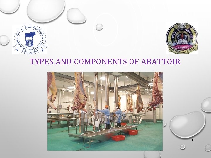 TYPES AND COMPONENTS OF ABATTOIR 1 