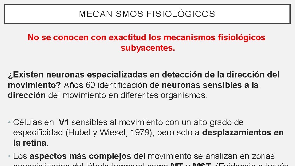 MECANISMOS FISIOLÓGICOS No se conocen con exactitud los mecanismos fisiológicos subyacentes. ¿Existen neuronas especializadas