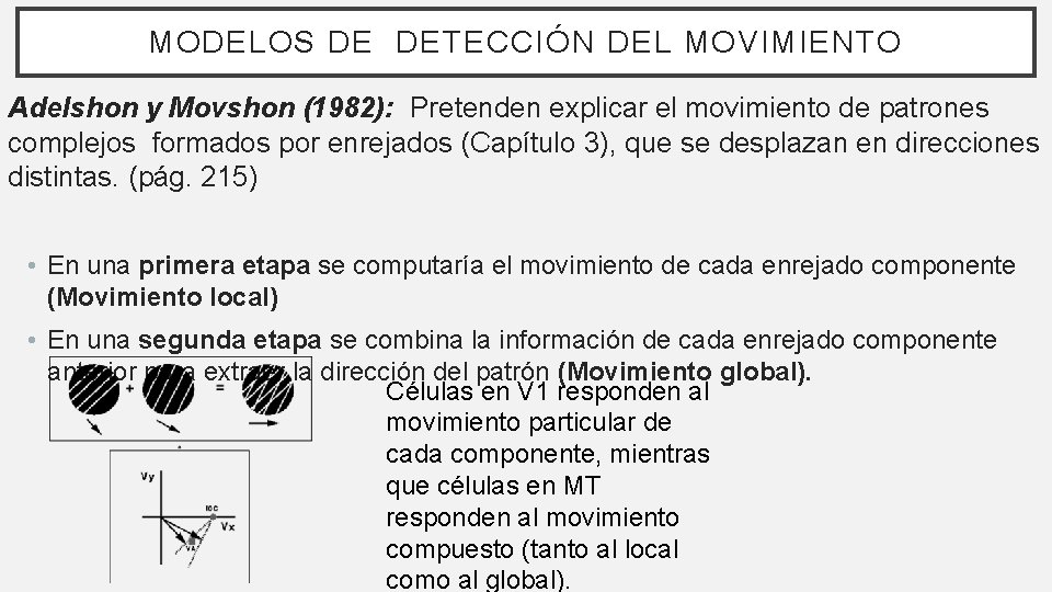 MODELOS DE DETECCIÓN DEL MOVIMIENTO Adelshon y Movshon (1982): Pretenden explicar el movimiento de