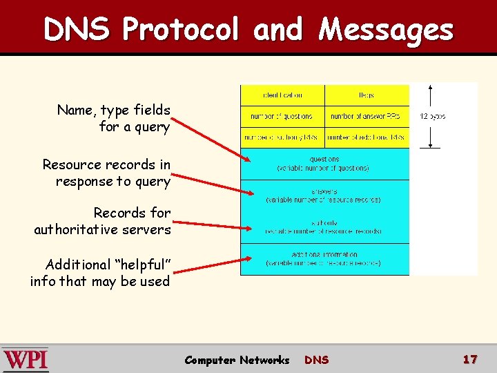 DNS Protocol and Messages Name, type fields for a query Resource records in response