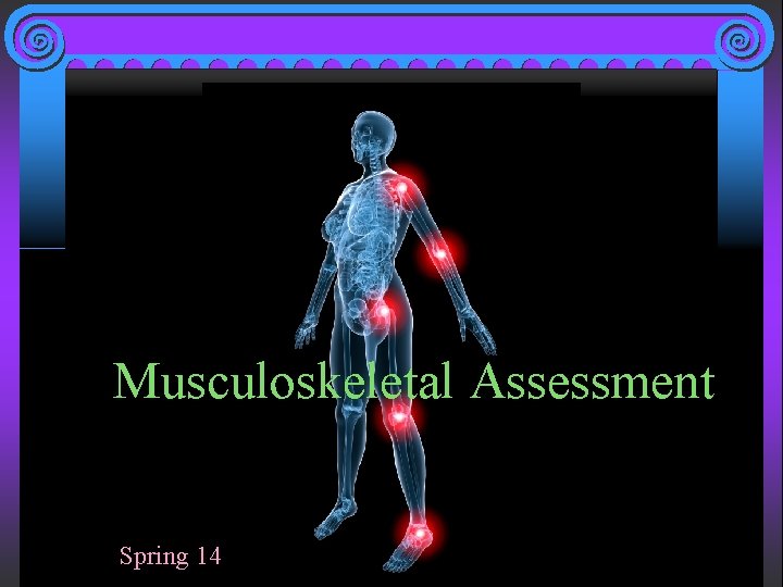 Musculoskeletal Assessment Spring 14 