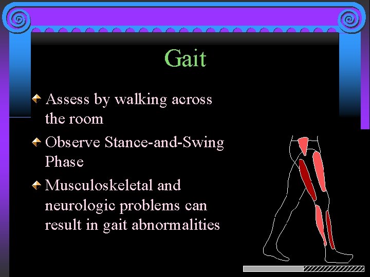 Gait Assess by walking across the room Observe Stance-and-Swing Phase Musculoskeletal and neurologic problems