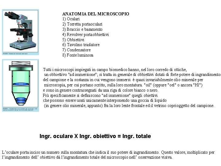 ANATOMIA DEL MICROSCOPIO 1 Oculari 2 Torretta portaoculari