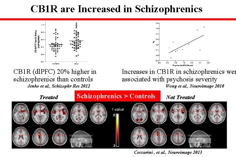 CB 1 R are Increased in Schizophrenics CB 1 R (dl. PFC) 20% higher