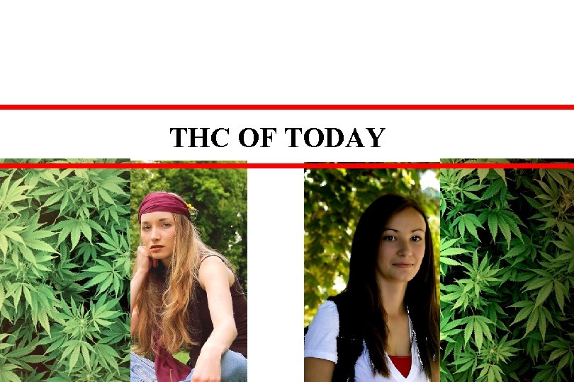 THC OF TODAY 