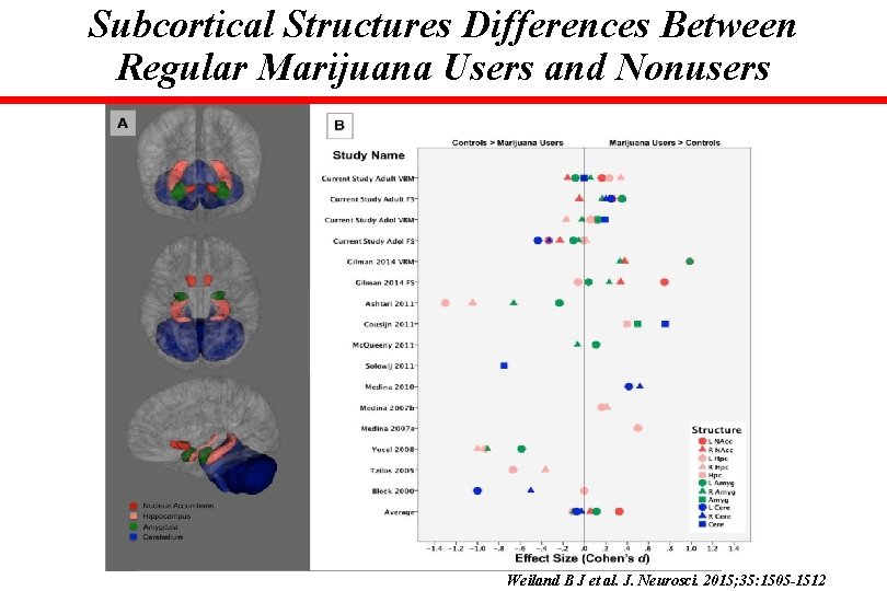 Subcortical Structures Differences Between Regular Marijuana Users and Nonusers Weiland B J et al.
