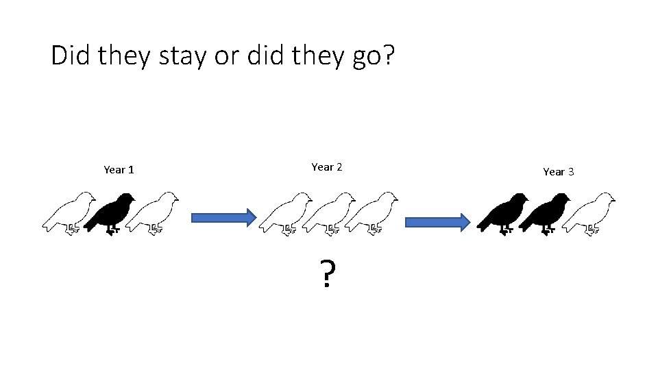 Did they stay or did they go? Year 1 Year 2 ? Year 3