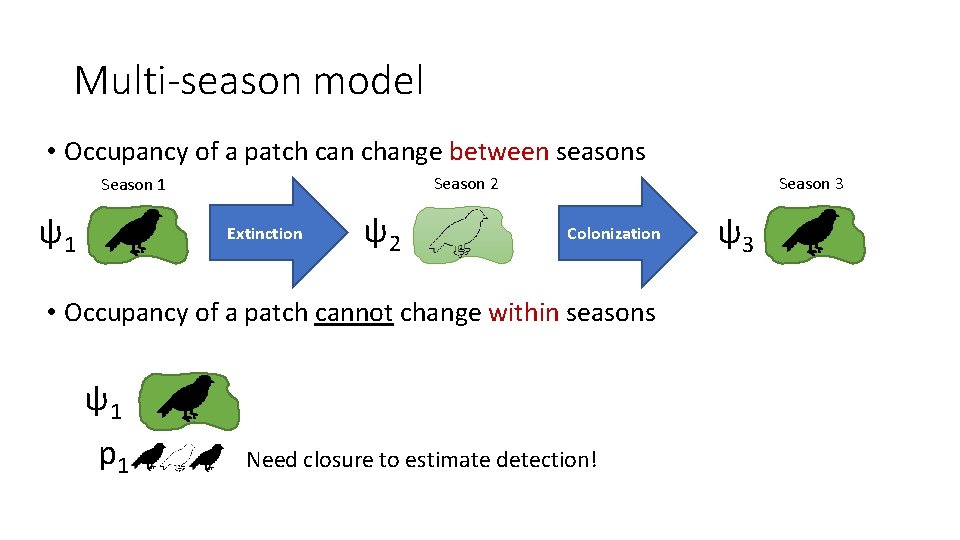 Multi-season model • Occupancy of a patch can change between seasons Season 2 Season