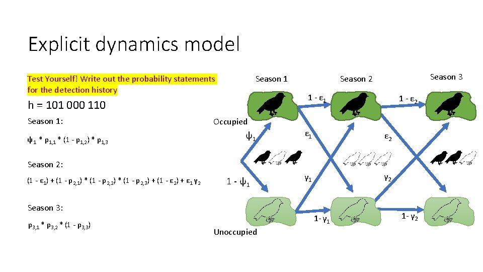 Explicit dynamics model Test Yourself! Write out the probability statements for the detection history