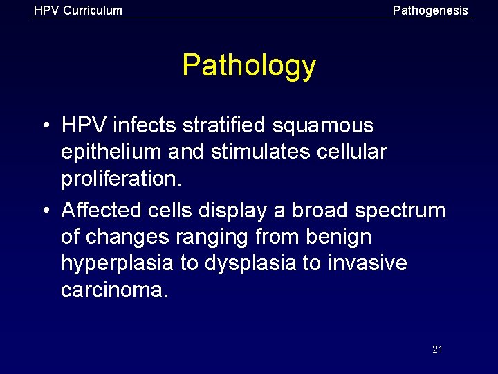 HPV Curriculum Pathogenesis Pathology • HPV infects stratified squamous epithelium and stimulates cellular proliferation.