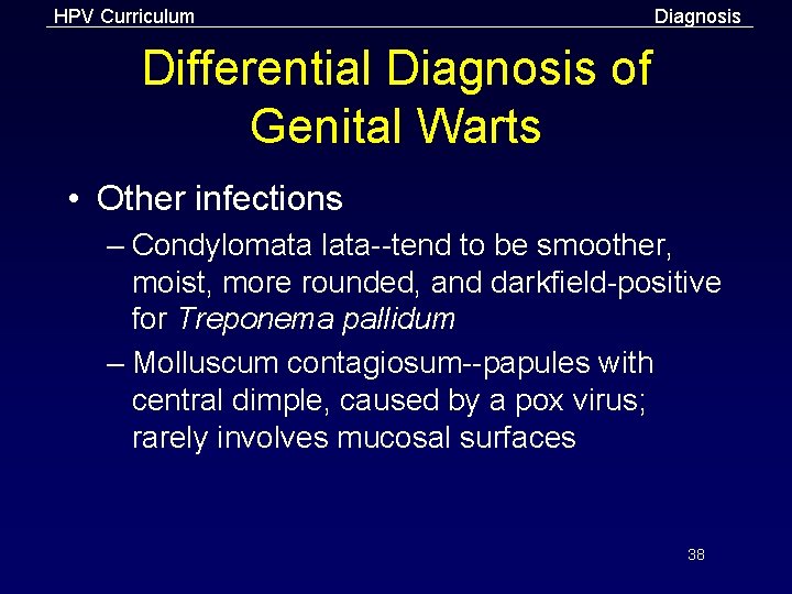 HPV Curriculum Diagnosis Differential Diagnosis of Genital Warts • Other infections – Condylomata lata--tend