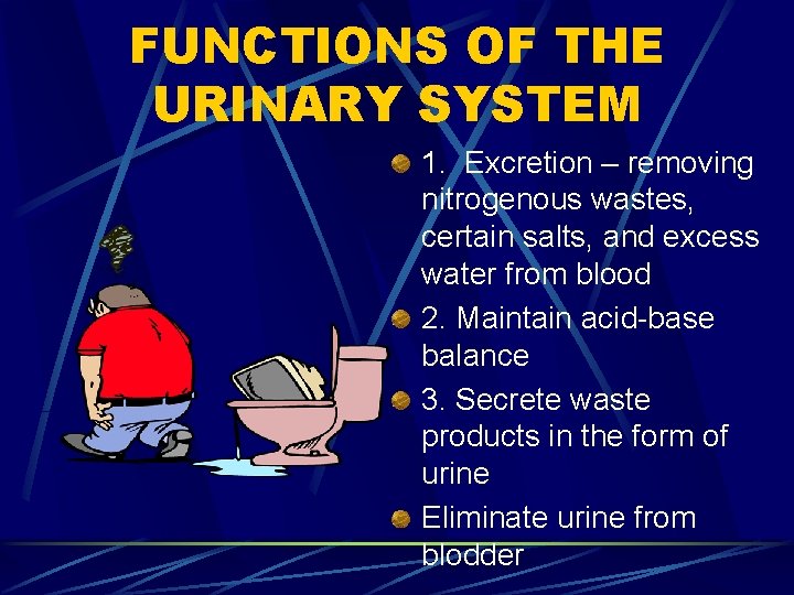 FUNCTIONS OF THE URINARY SYSTEM 1. Excretion – removing nitrogenous wastes, certain salts, and